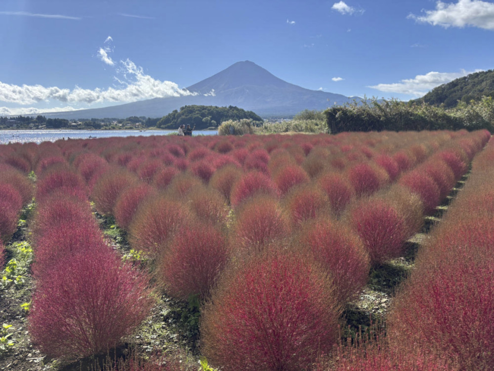 Spectacular Mt. Fuji Full Day Sightseeing Bus Tour From Tokyo