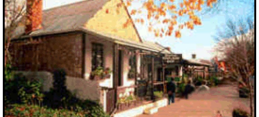 Full Day Adelaide Highlights with Wine Tasting and Coast
