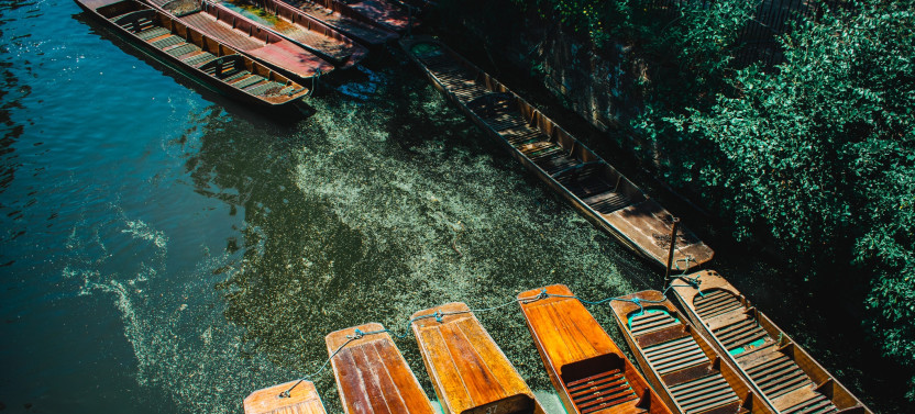 Shared Oxford University Punting Tour