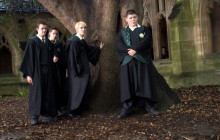 Cambridge Alumni Tours7