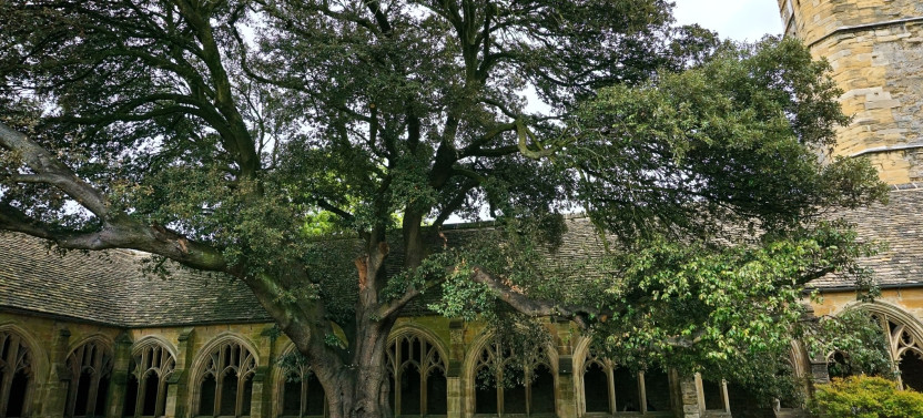 Private Mandarin Alumni-led Harry Potter Film Locations Walking Tour