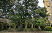 Cambridge Alumni Tours16