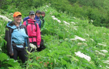 St. Elias Alpine Guides3