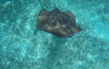 Living Dreams Mexico6