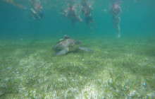 Living Dreams Mexico4