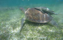 Living Dreams Mexico3