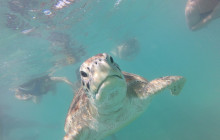 Living Dreams Mexico5