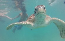 Living Dreams Mexico1