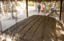 Living Dreams Mexico5