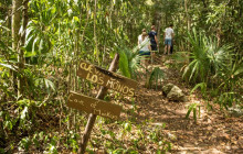 Living Dreams Mexico6