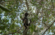 Living Dreams Mexico7