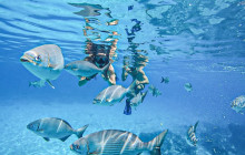 Living Dreams Mexico8