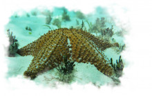 Living Dreams Mexico2