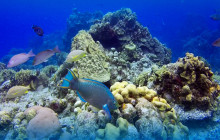 Living Dreams Mexico1