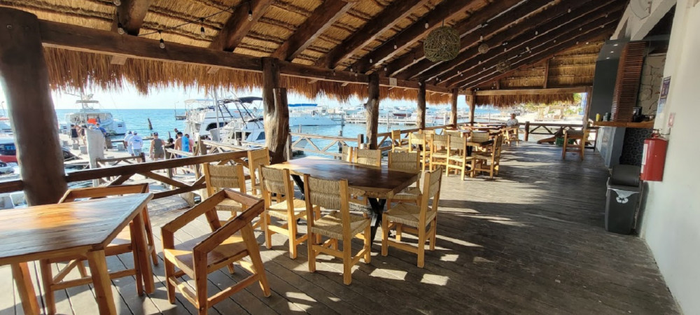 Dream Whale Shark Quest: Whale Shark , Playa Norte, Light Lunch on Board