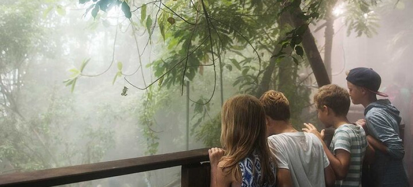 Universeum Adventure-Entry Ticket With Pickup