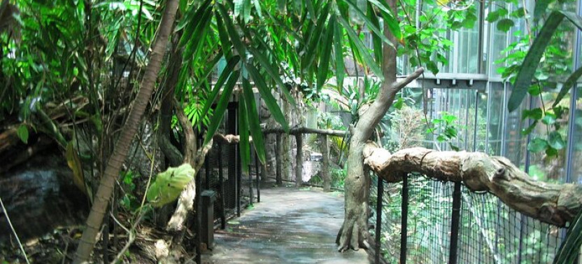 Universeum Adventure-Entry Ticket With Pickup