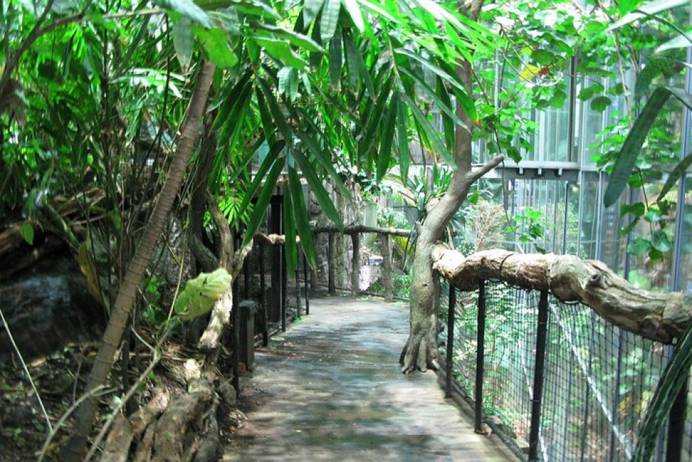 Universeum Adventure-Entry Ticket With Pickup