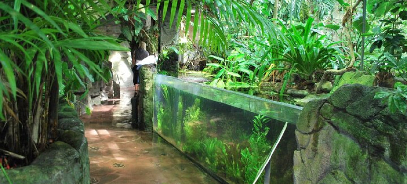 Universeum Adventure-Entry Ticket With Pickup