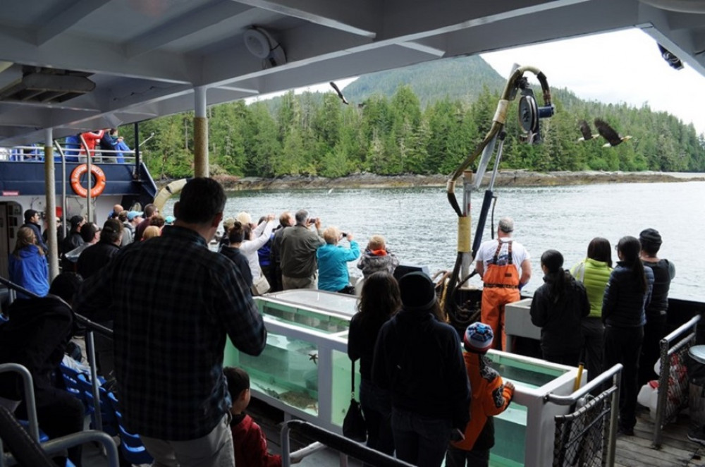 Bering Sea Crab Fishermen's Tour - Ketchikan | Project Expedition