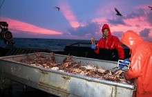 Bering Sea Crab Fishermen's Tour4