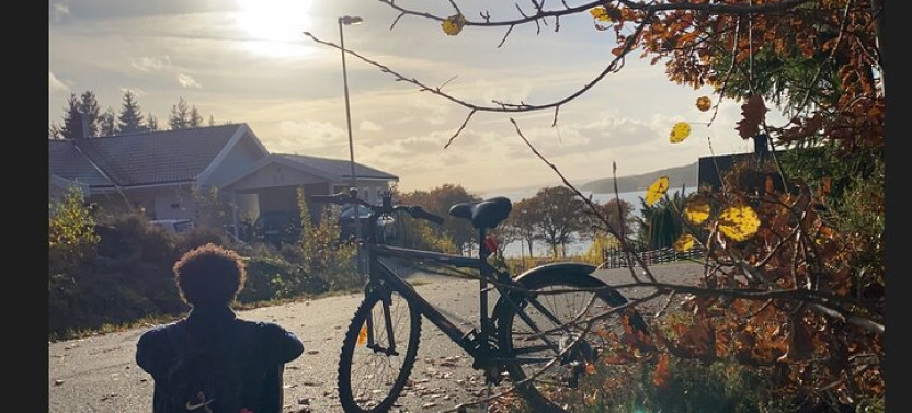 Private Bike Ride Tour in Alingsås