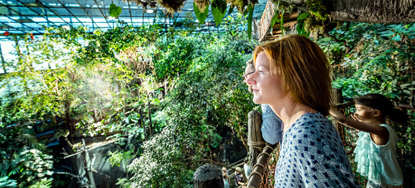 Private Day Tour to Visit Universeum Science Centre and Haga Old Town