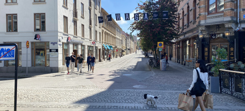 Private Day Tour to Visit Universeum Science Centre and Haga Old Town