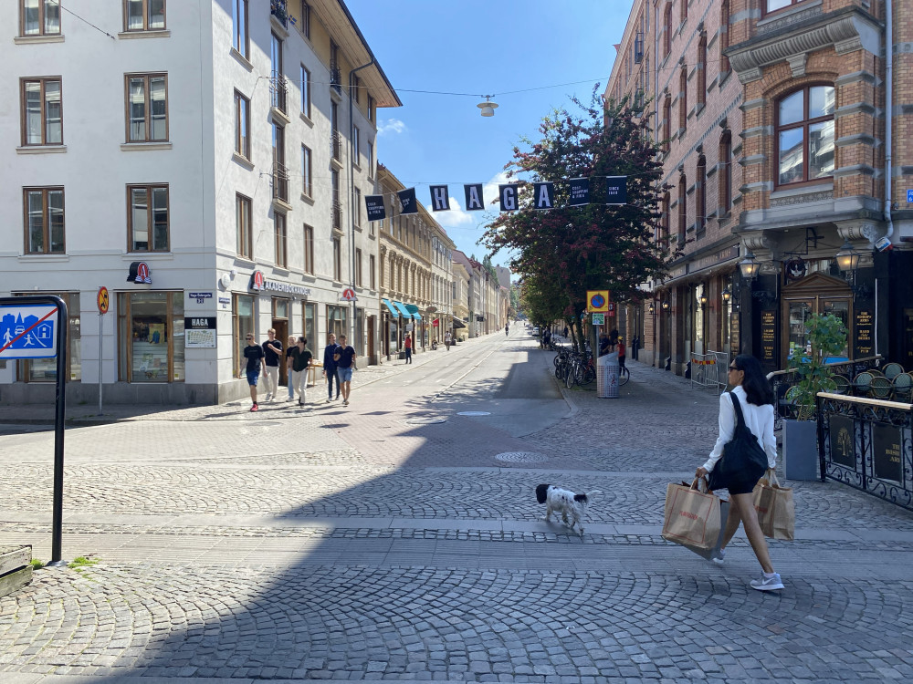 Private Day Tour to Visit Universeum Science Centre and Haga Old Town