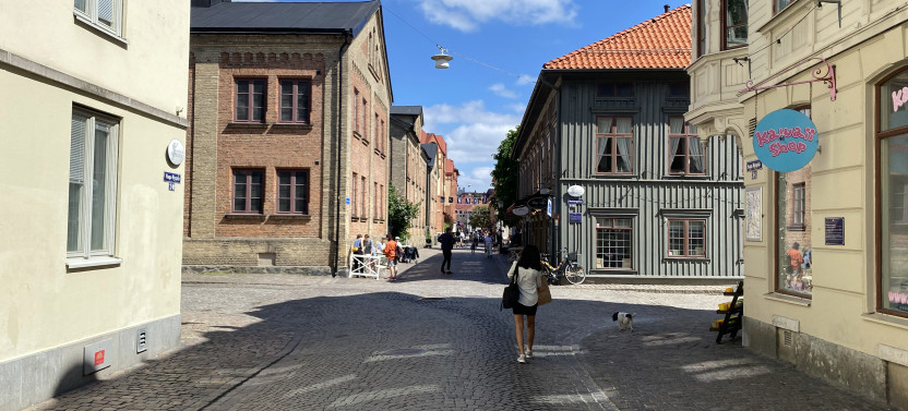 Private Day Tour to Visit Universeum Science Centre and Haga Old Town