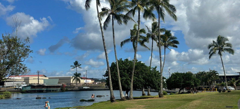 SUP - Reeds Bay Oceanfront Lesson