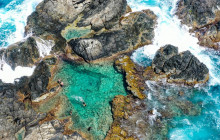 De Palm Tours Aruba1