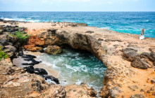 De Palm Tours Aruba2