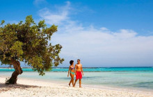 De Palm Tours Aruba3