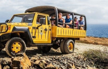 De Palm Tours Aruba4