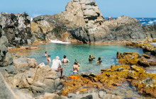 De Palm Tours Aruba1