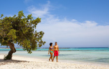 De Palm Tours Aruba6