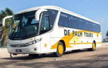 De Palm Tours Aruba1