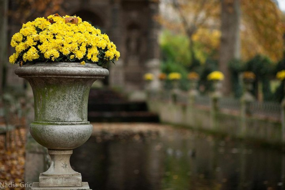 Latin Quarter 2-hour Private Walking Tour