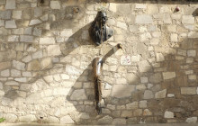 Paris in person5