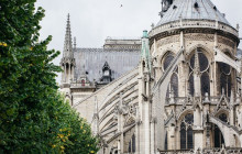 Paris in person6