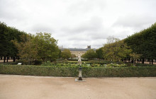 Paris in person6