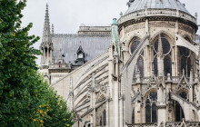 Paris in person4