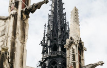 Paris in person5