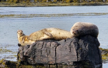 Magic Iceland Travel4