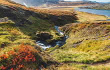 Magic Iceland Travel9