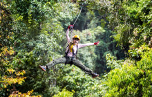 Greenway Nature Tours440
