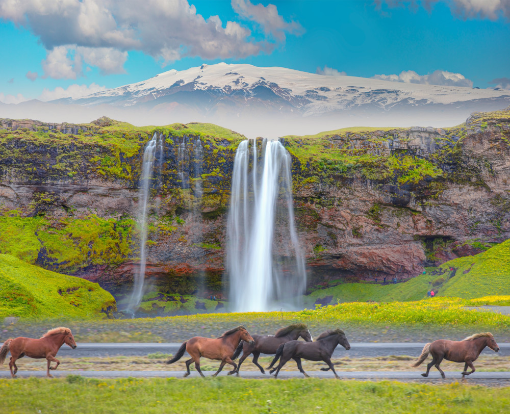 Private Full-Day South Coast Waterfalls & Black Sand Tour in Iceland