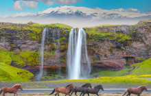 Magic Iceland Travel10