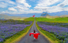 Magic Iceland Travel1